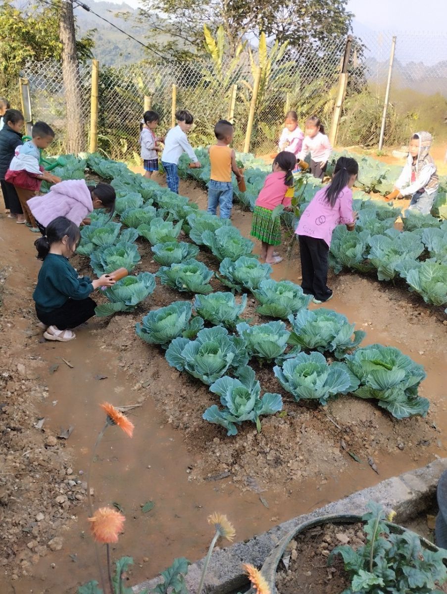 Bé chăm sóc vườn hoa, vườn rau